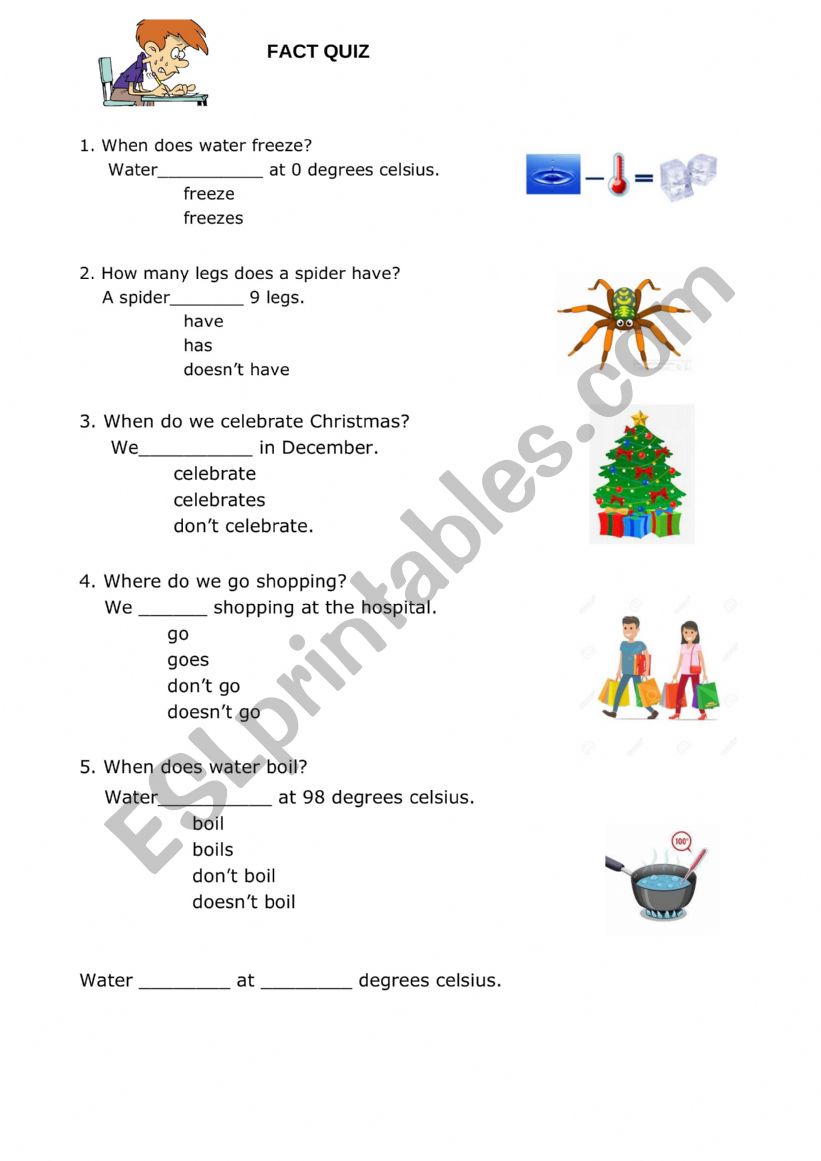 Simple Present Fact Sheet worksheet