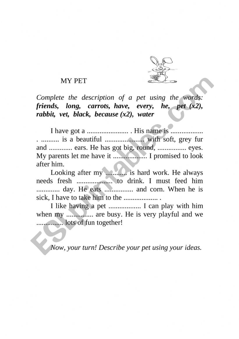 My pet worksheet