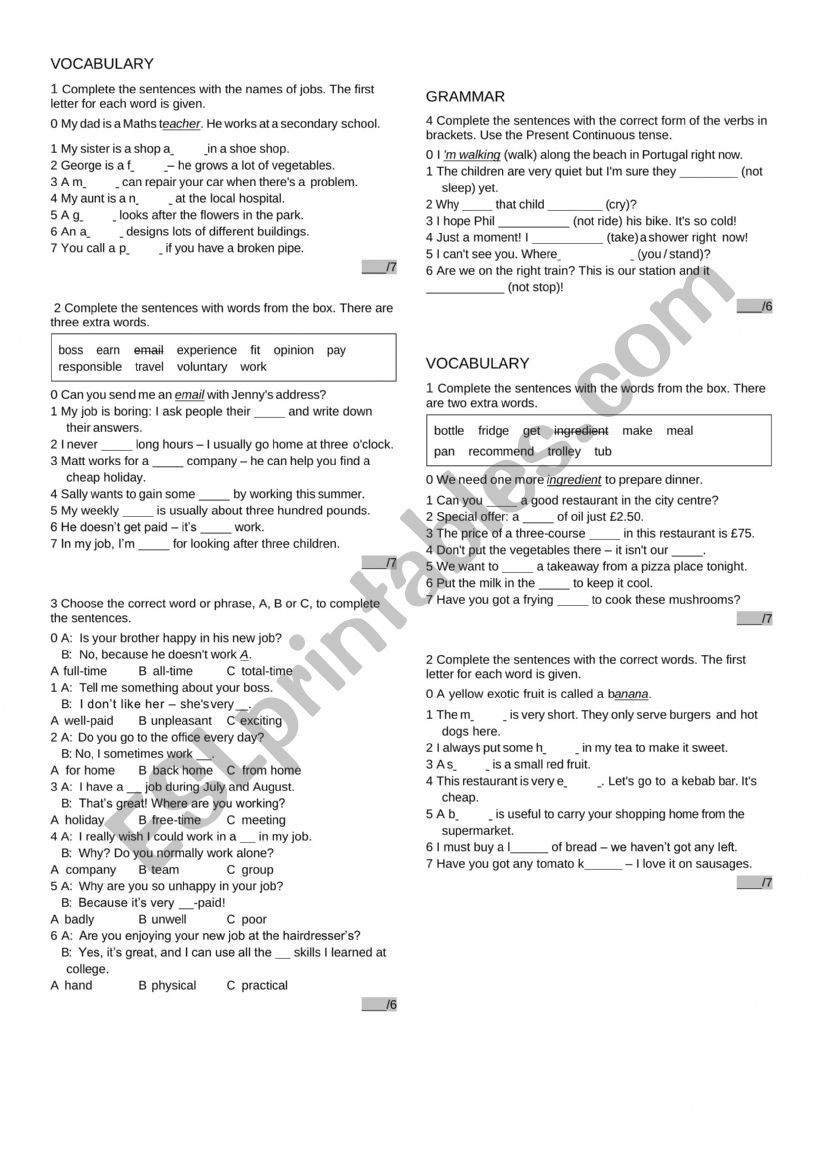 Focus vocabulary and grammar worksheet