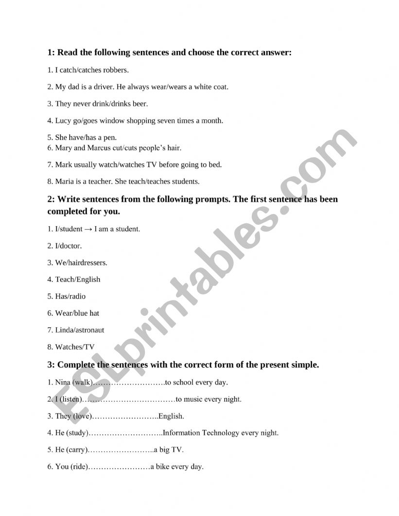 present simple exercises 4 worksheet