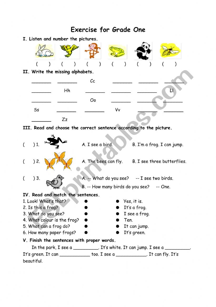 animal worksheet