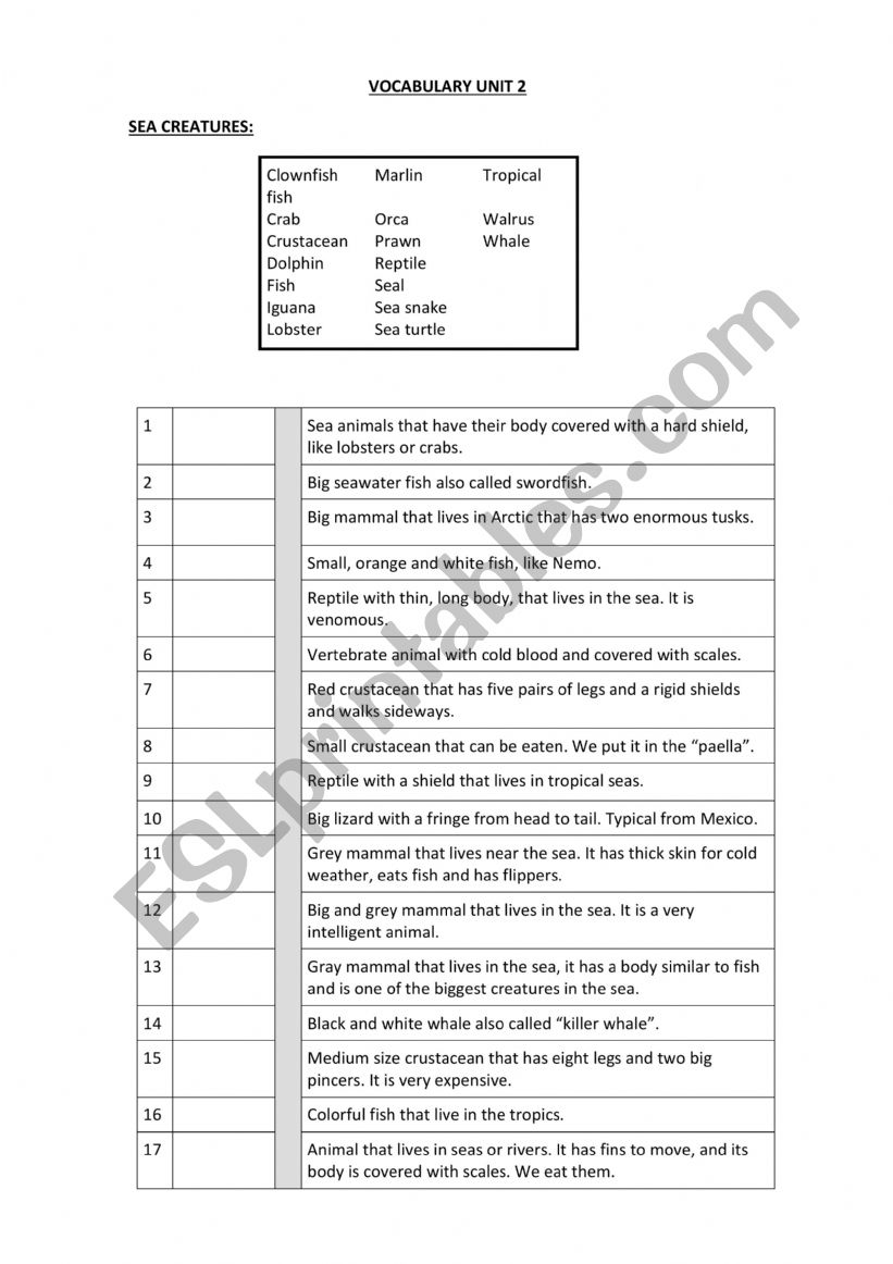 Vocabulary worksheet