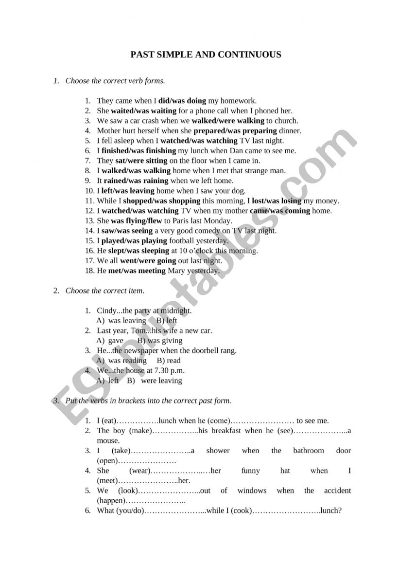 Past Simple and Continuous worksheet