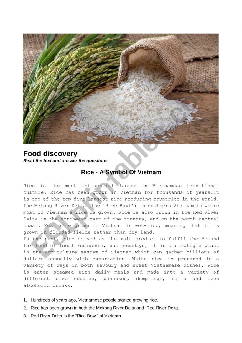 Rice in Vietnam worksheet