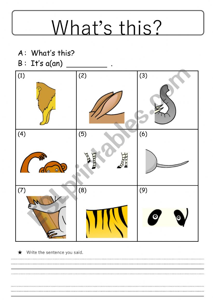 Whats this? worksheet