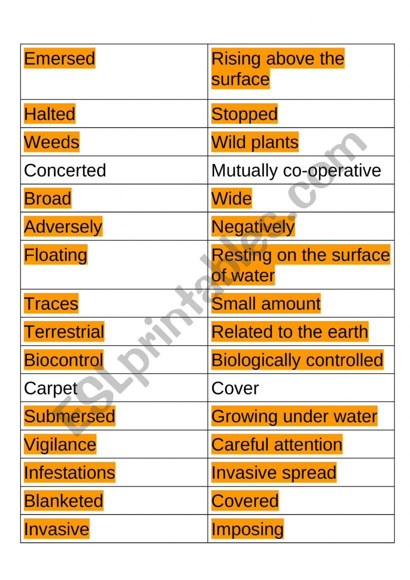 Vocabulary Matching- Advanced Level 