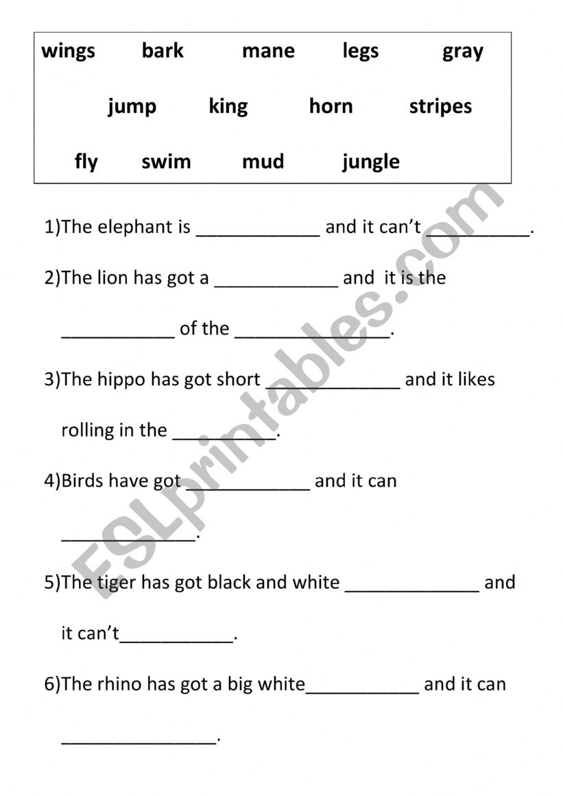 Animals can do worksheet