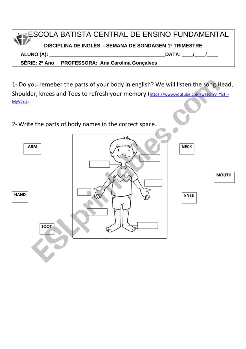 body worksheet