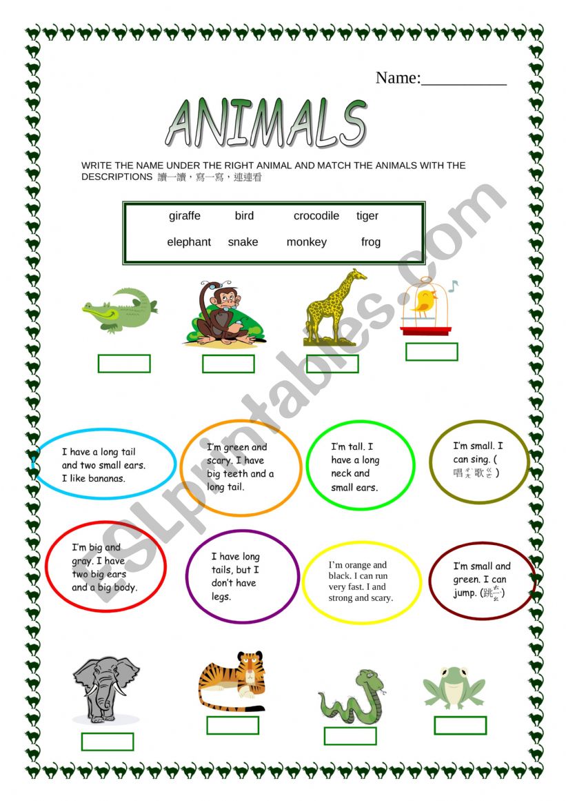 Description match the anumal worksheet