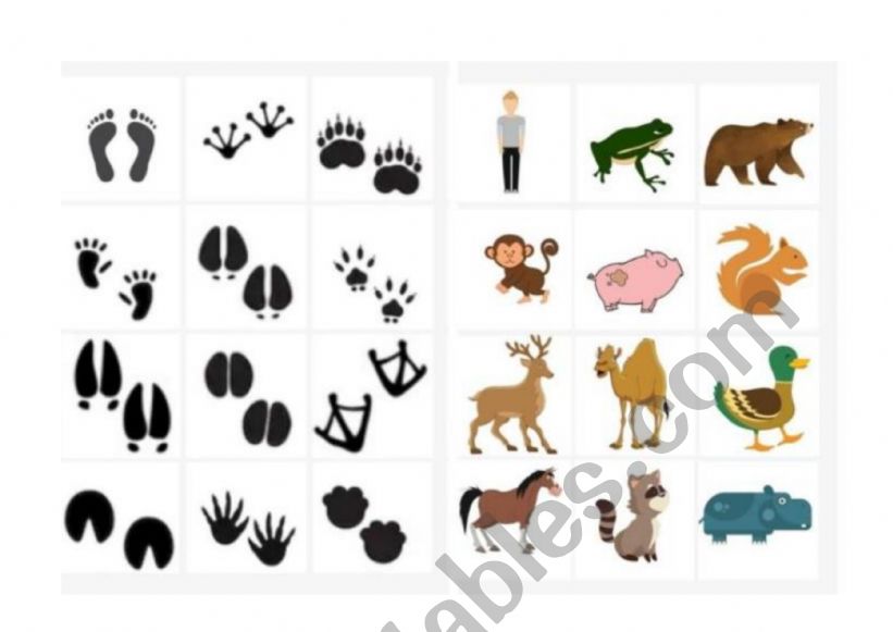 animals memory track  worksheet