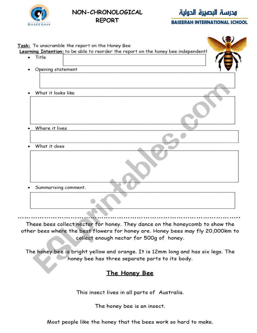 Non-Chronological Report worksheet