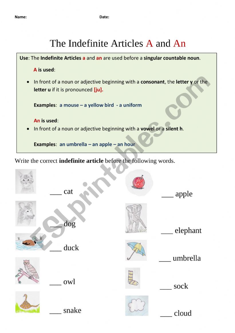 ARTICLES A AN THE worksheet