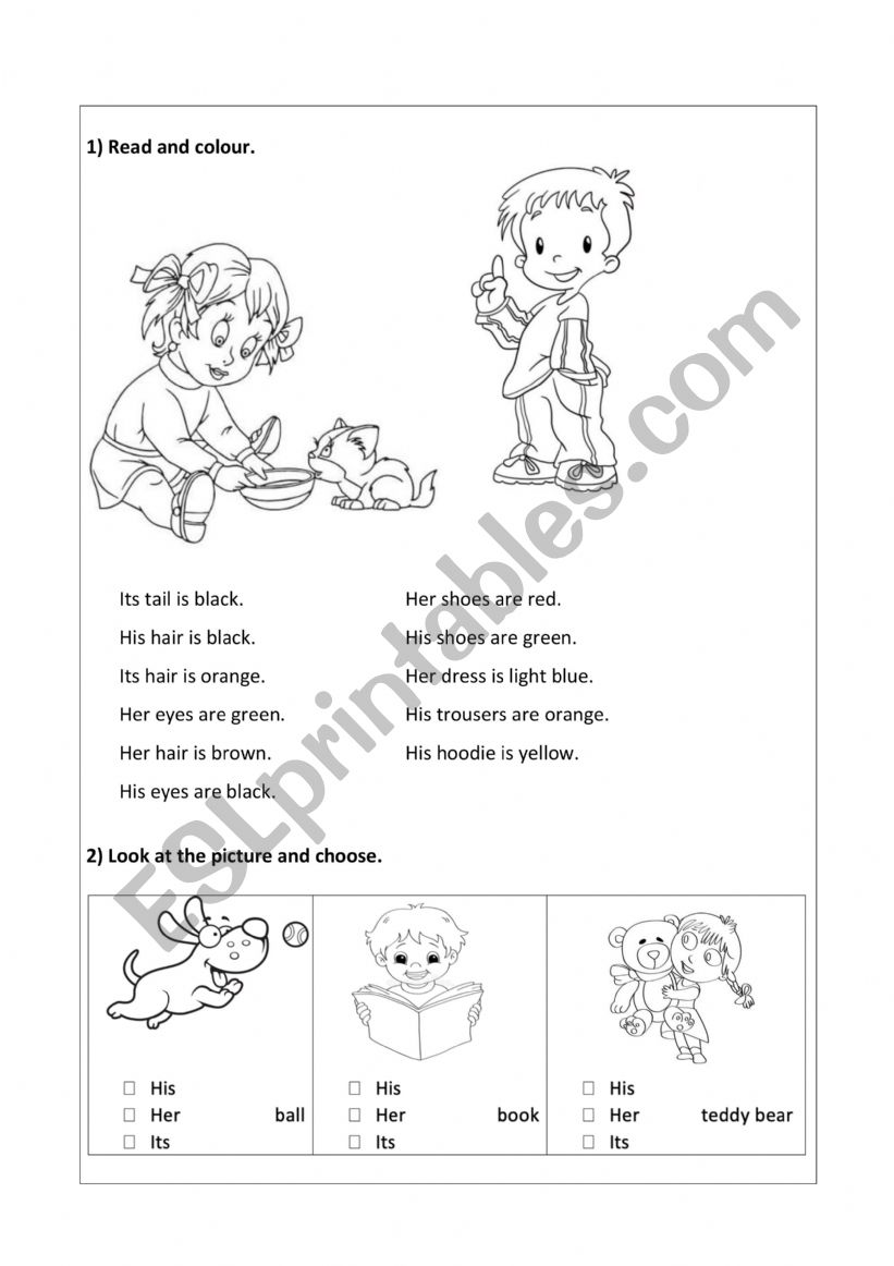 Read and colour - his her its worksheet