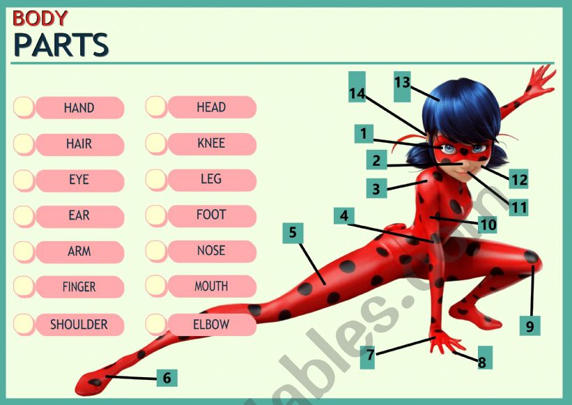 Miraculous Ladybug Characters Flashcards