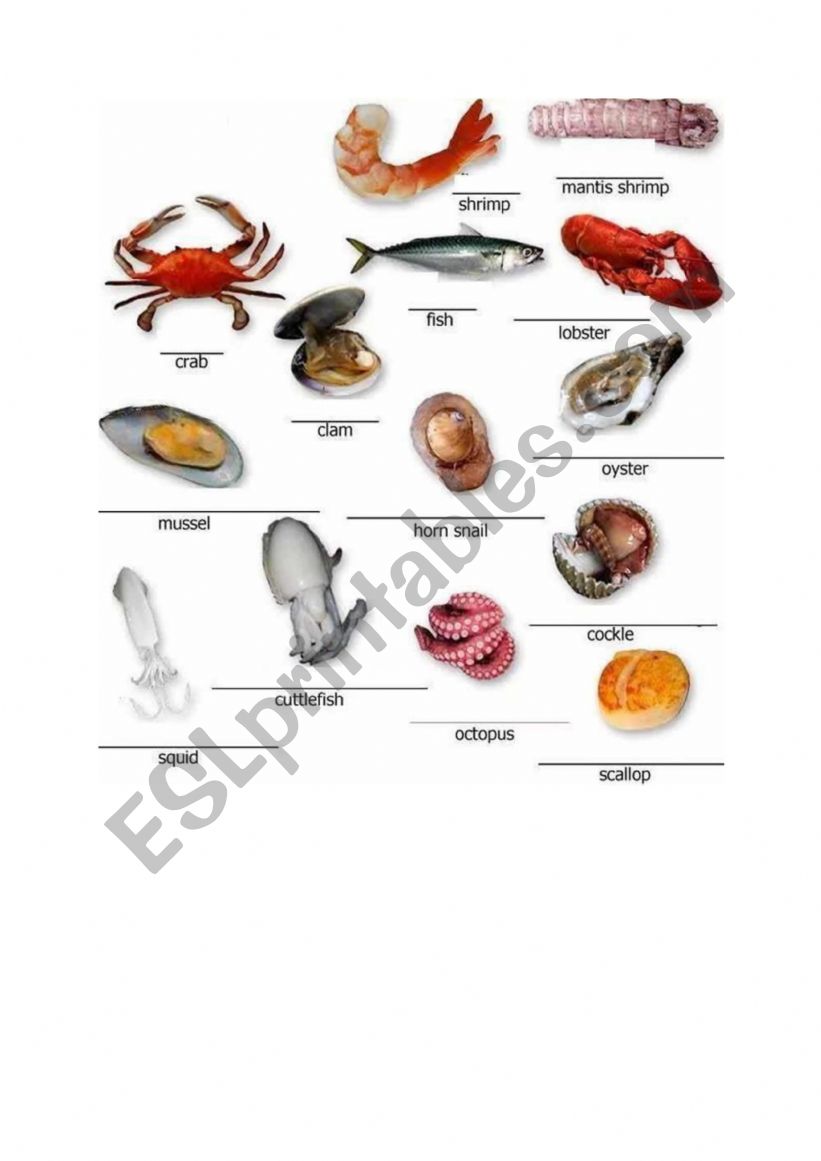 Seafood vocabulary worksheet