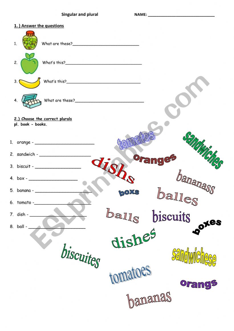 Singular and plural worksheet