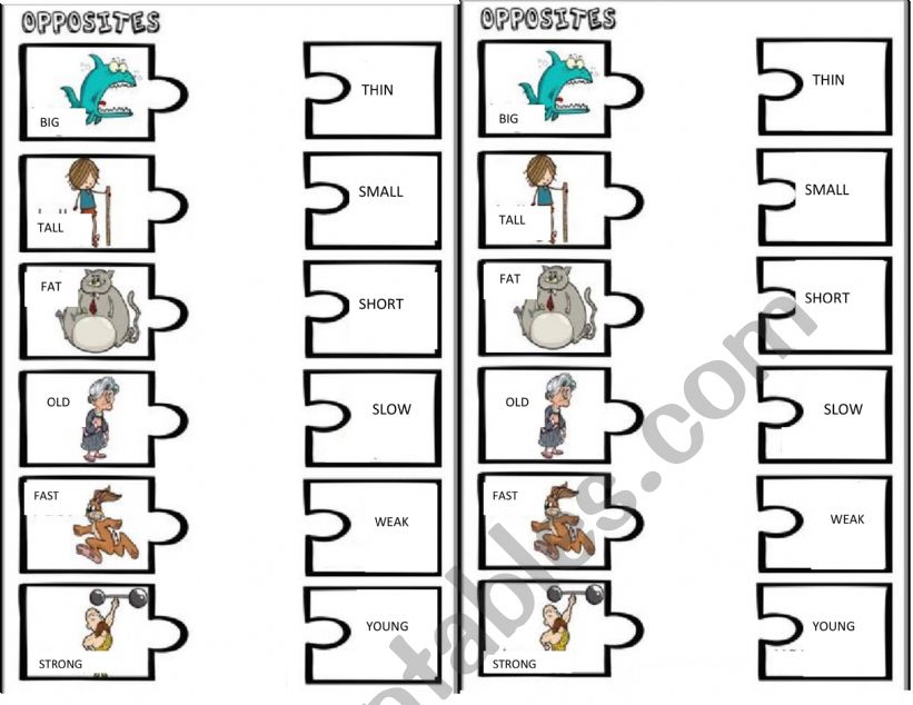 Opposites worksheet