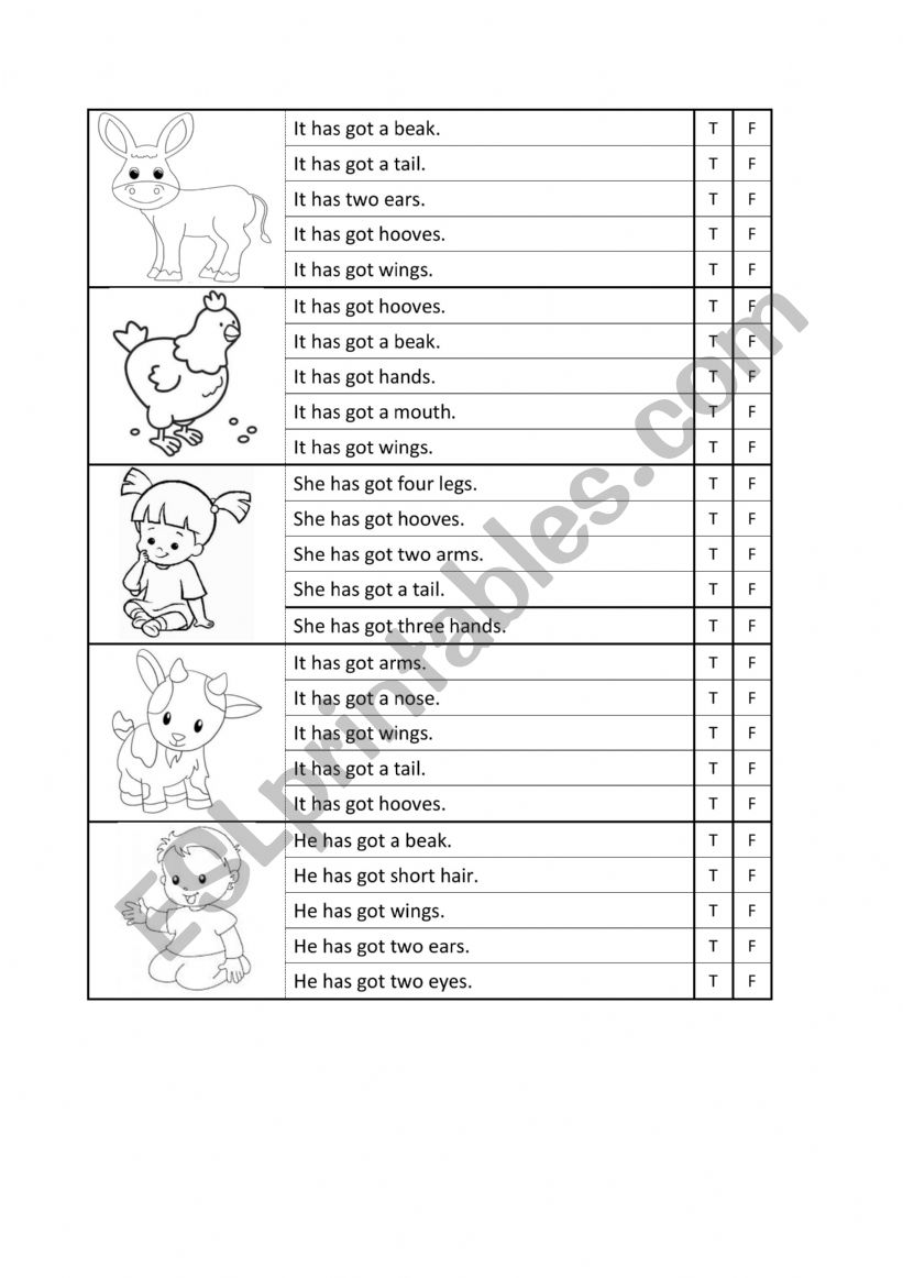 Body parts: true or false? worksheet