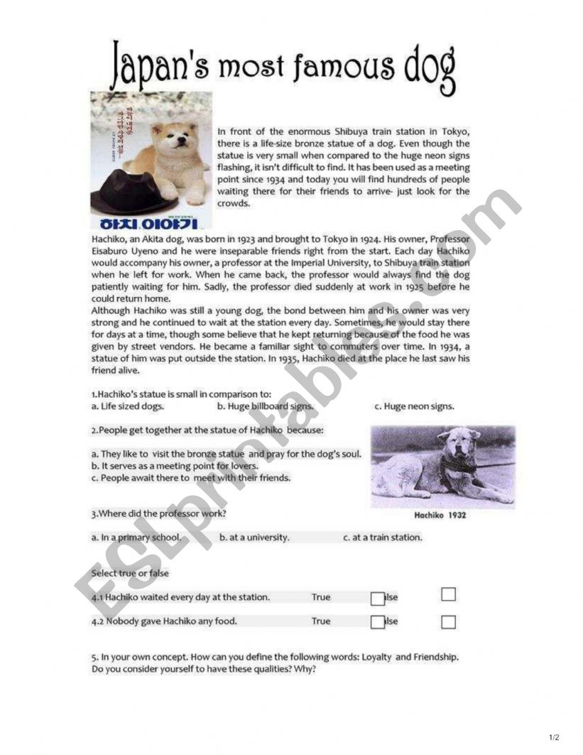 HACHIKO worksheet