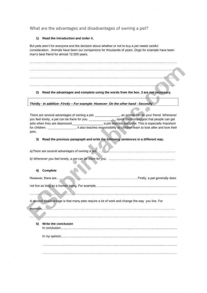 essay worksheet