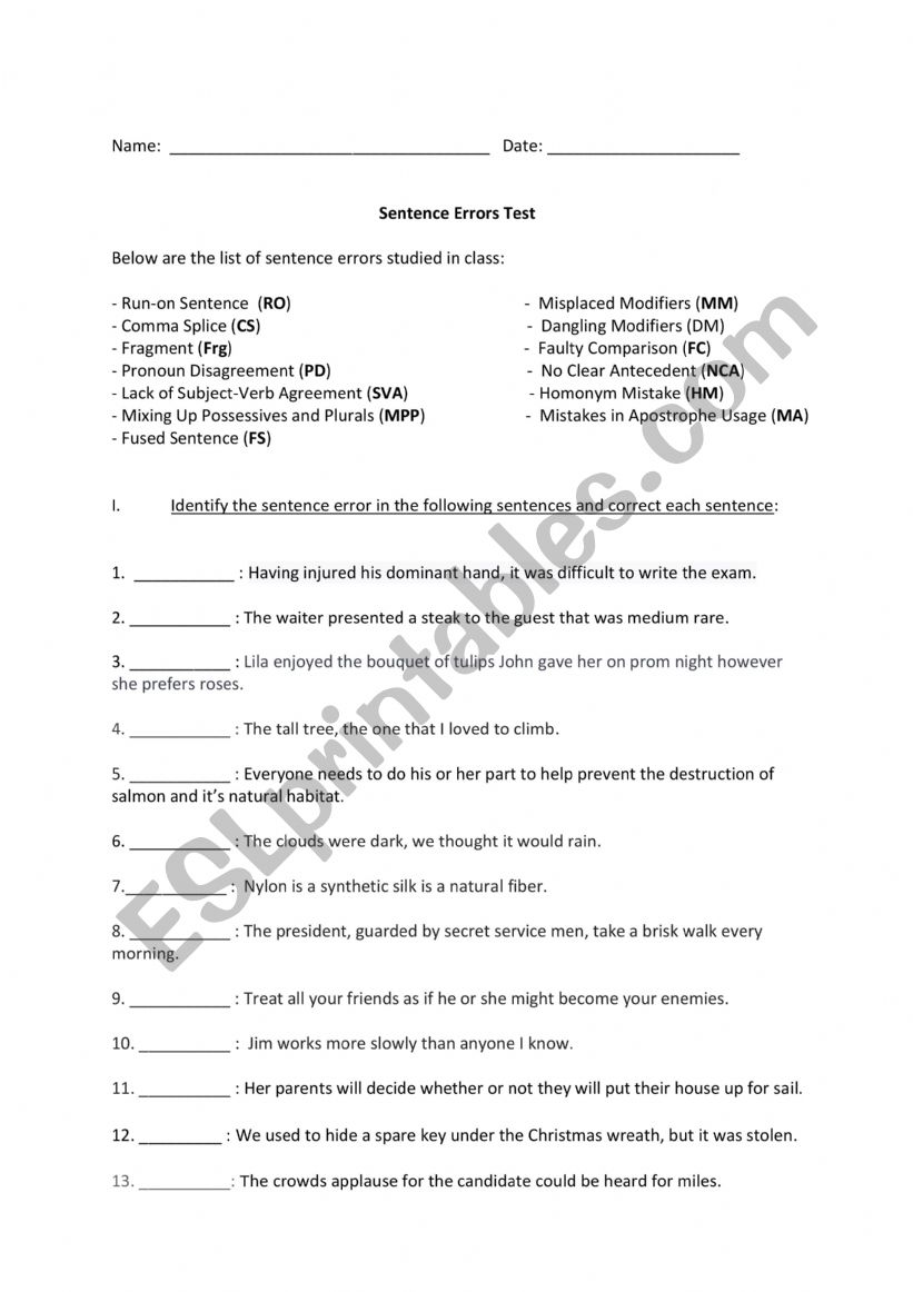 Sentence Errors Test worksheet