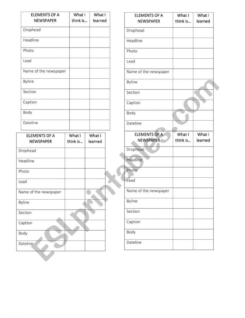 newspaper worksheet