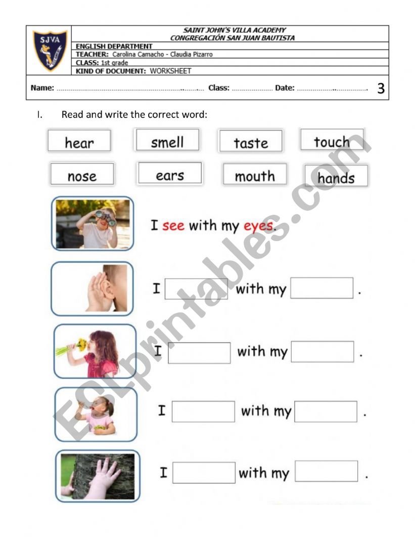 my senses worksheet