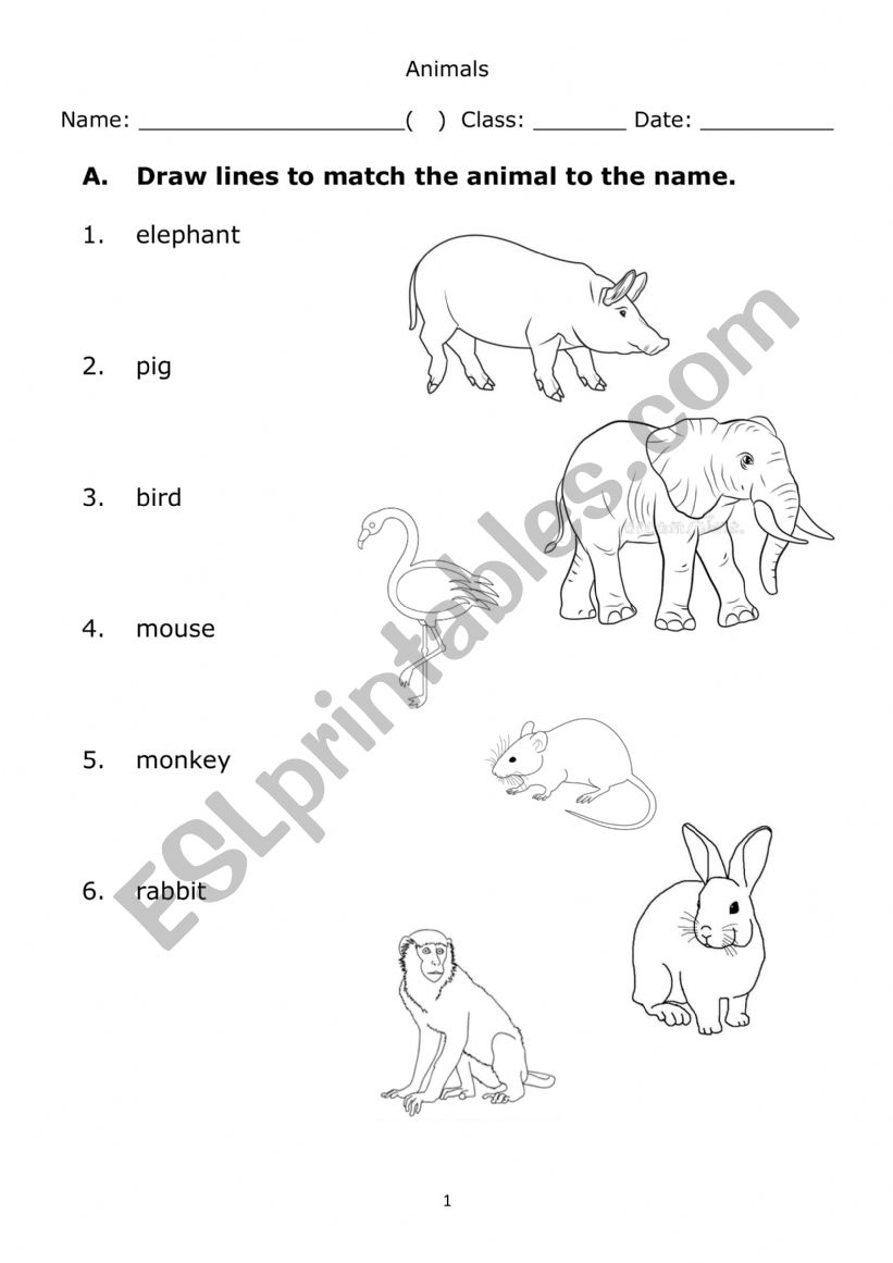 Animal Names - ESL worksheet by Aarshi