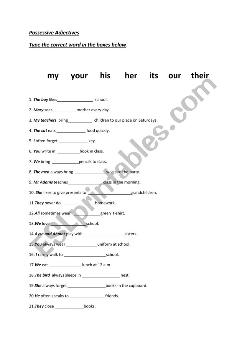 Possessive Adjectives Worksheet