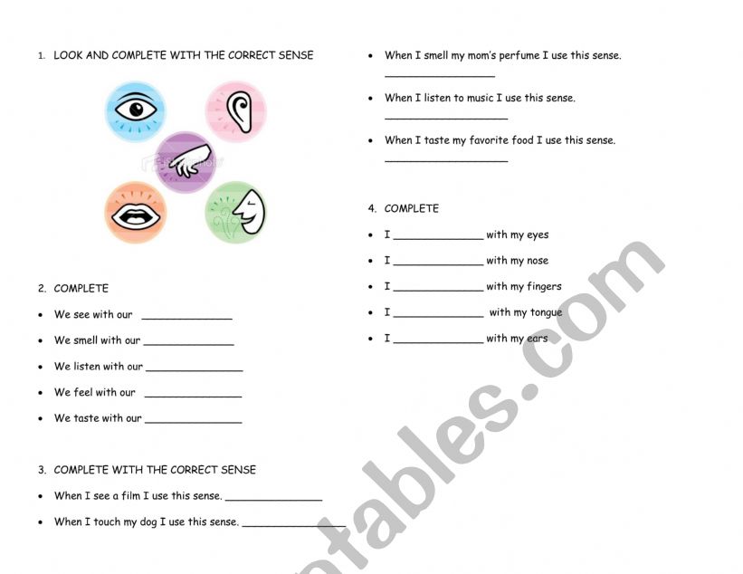 Five senses worksheet