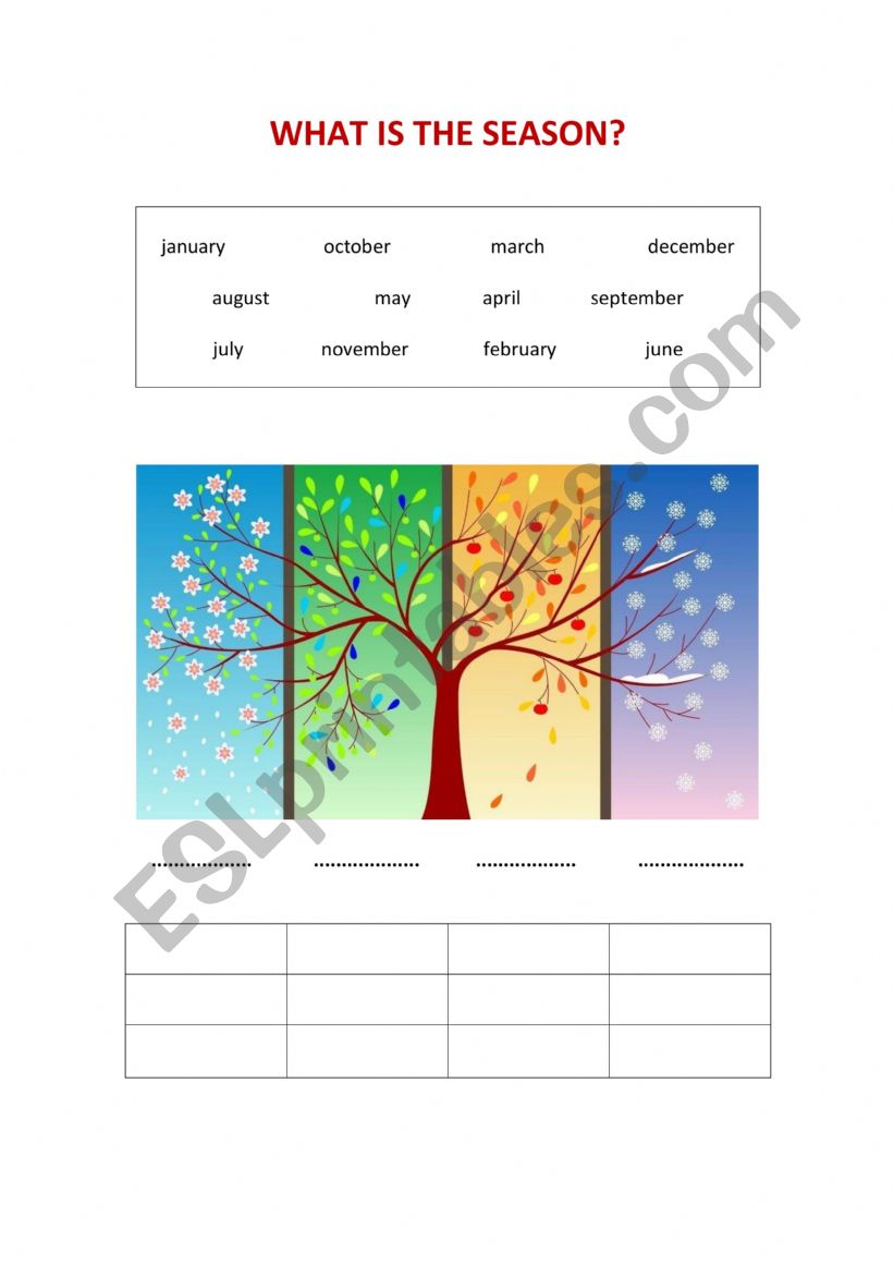 What is the season? worksheet