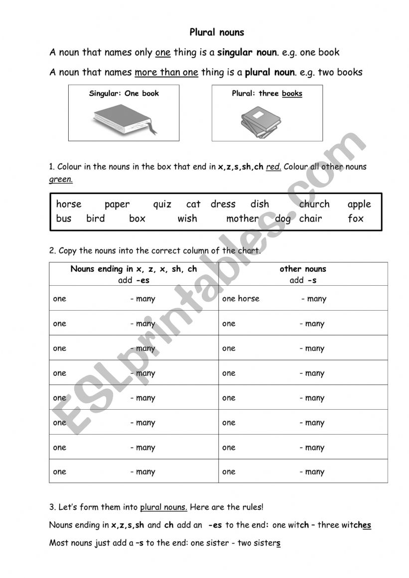 Plural Nouns worksheet