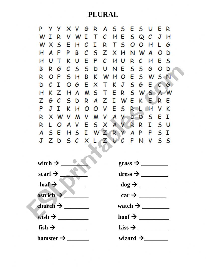 PLURAL worksheet