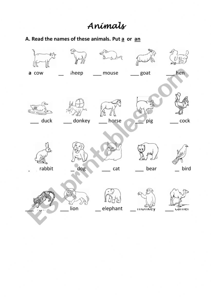 Animals A or An worksheet