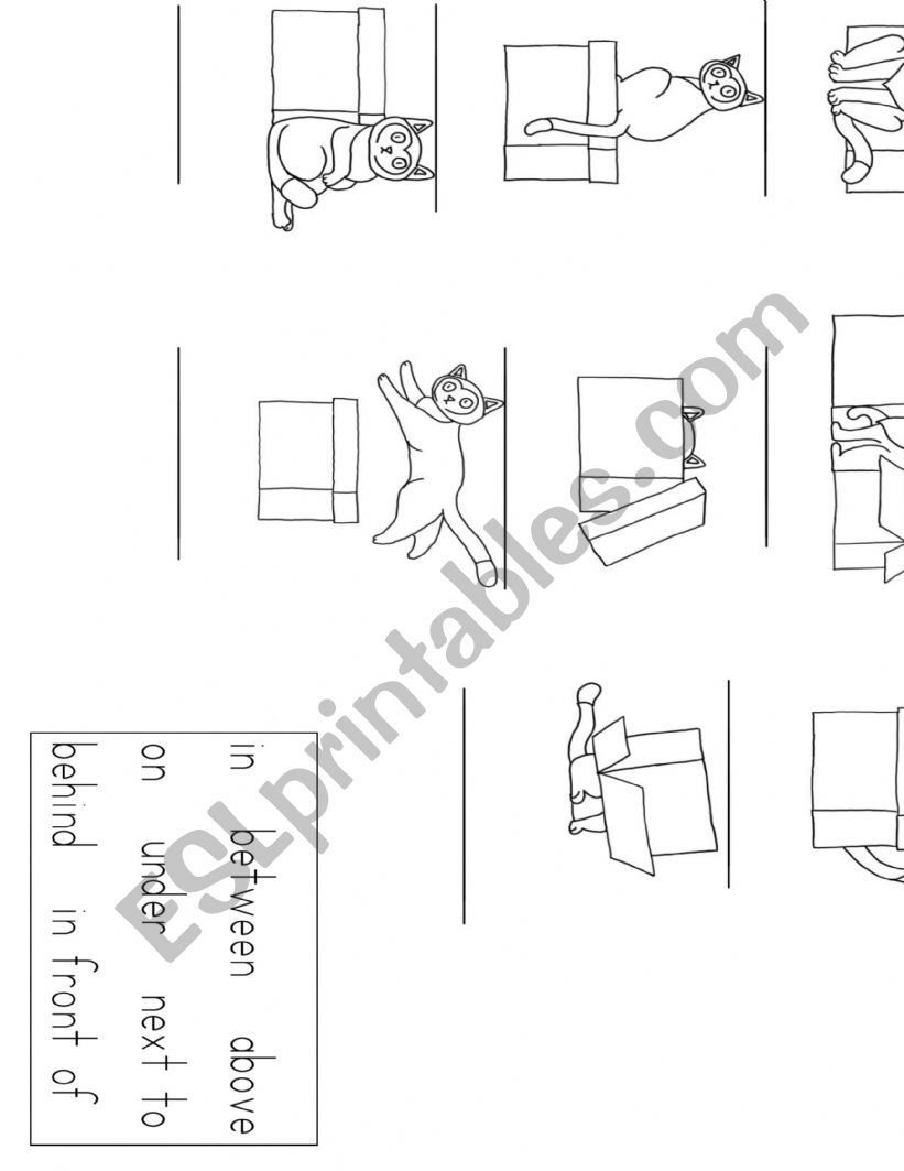 Cat Prepositions worksheet