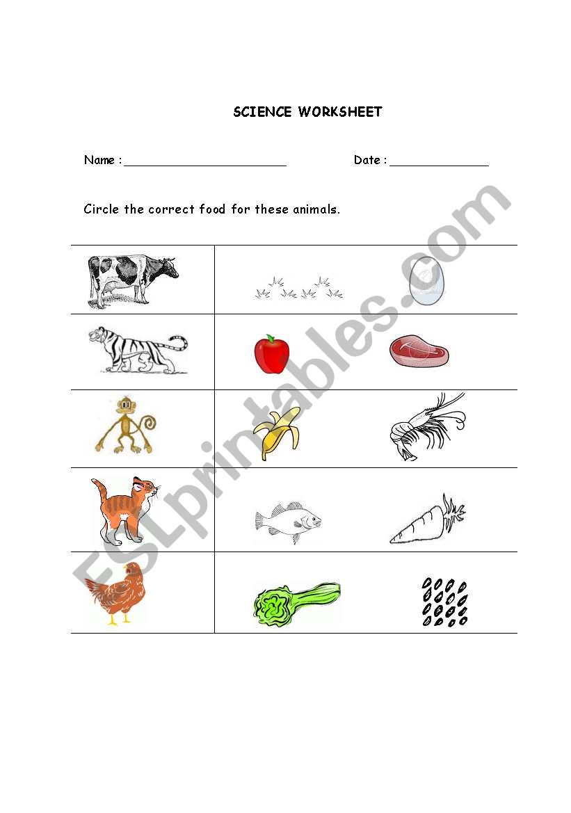 Circle the correct food for the animal.