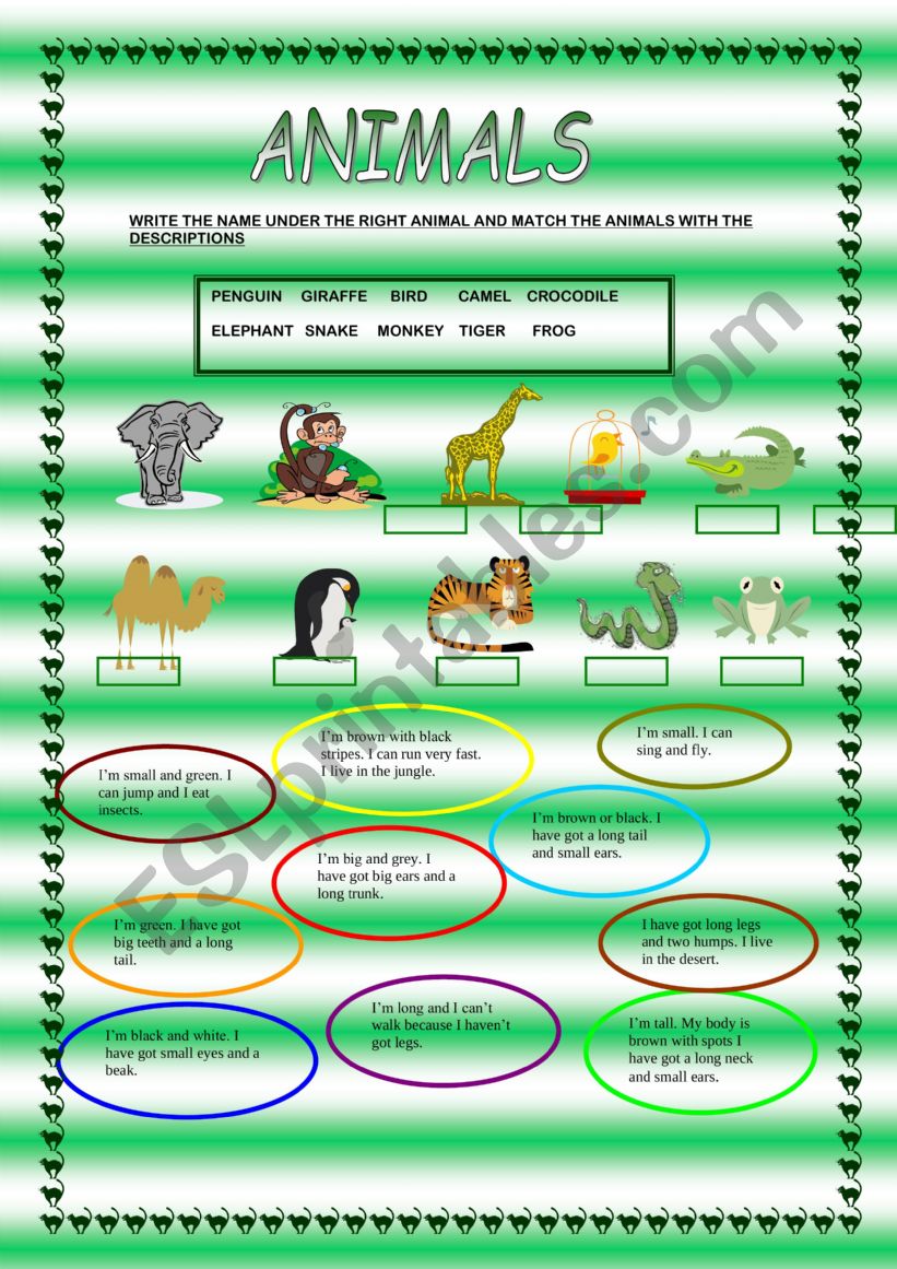 Animals fun activities  worksheet