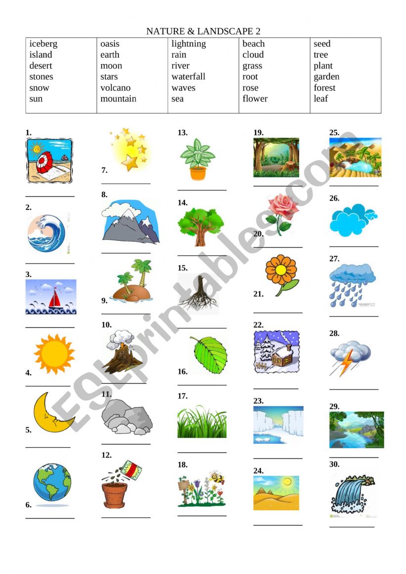 Natural World worksheet