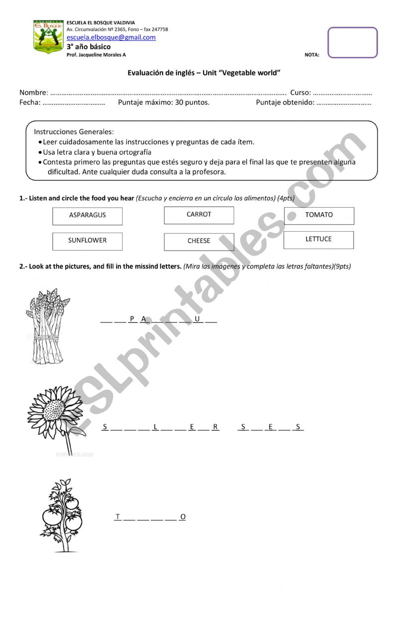 Vegetable World test worksheet