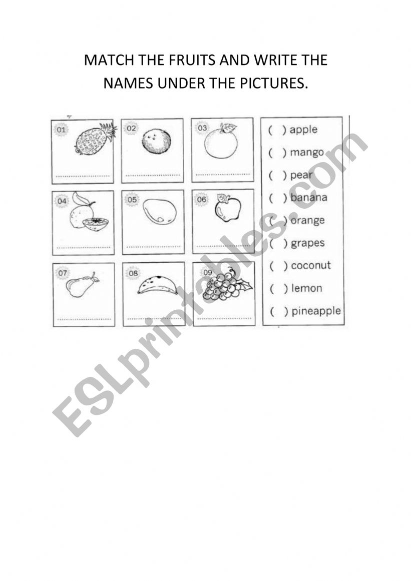 FRUITS worksheet