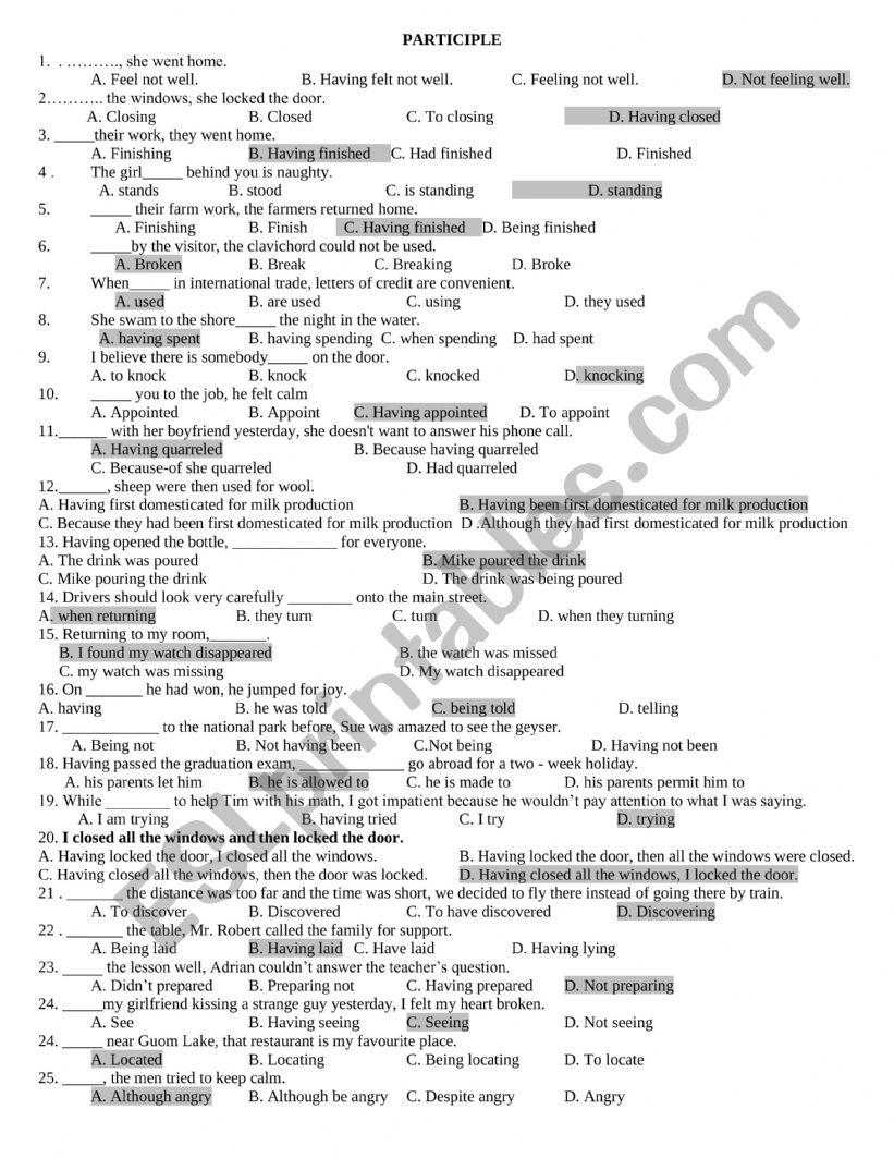 Participle worksheet