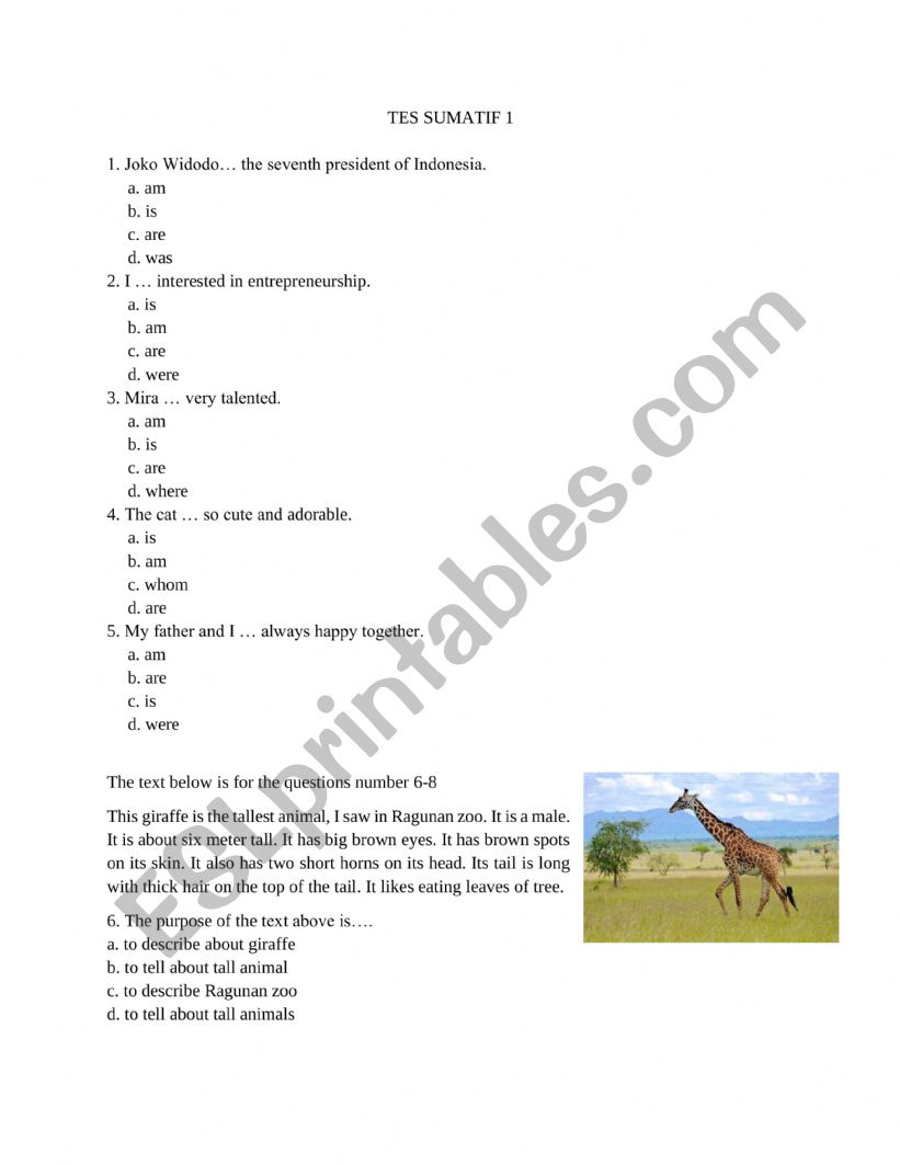 tes sumatif worksheet