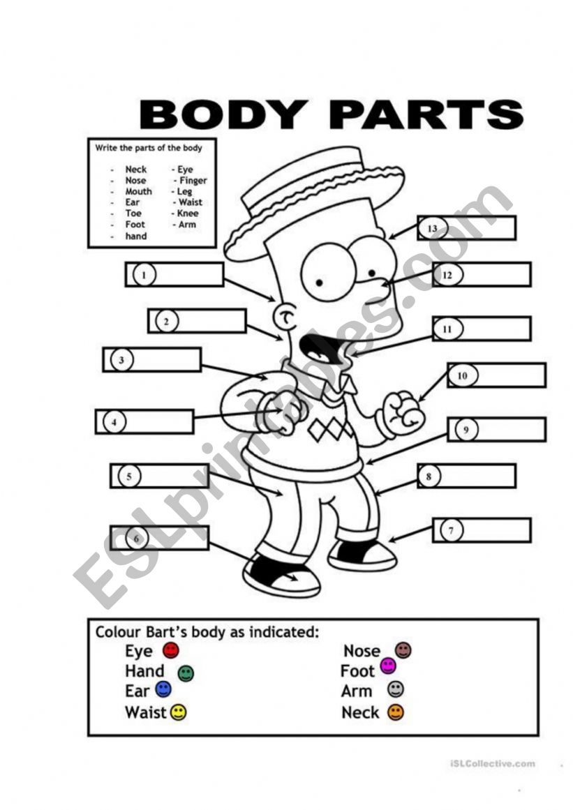 Body parts and colors Simpsons