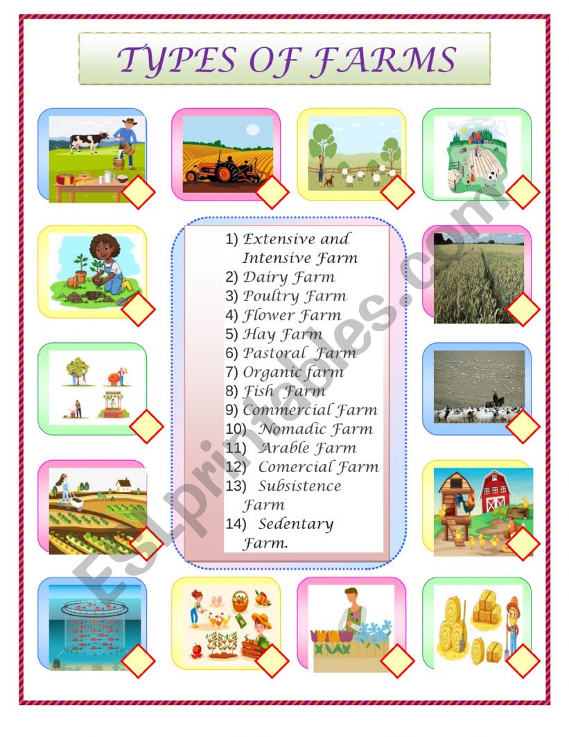 TYPES OF FARM worksheet