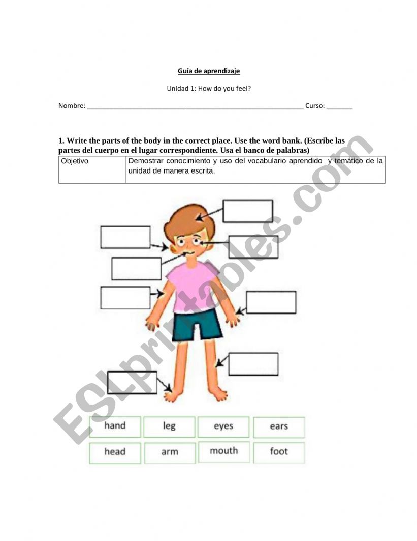 Health and body worksheet