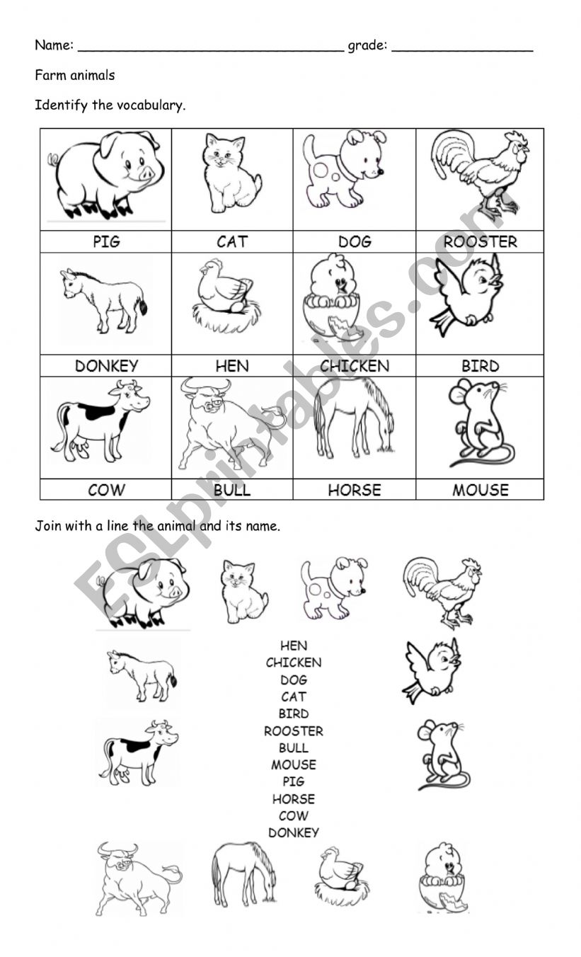 English Worksheets: Animals Worksheet