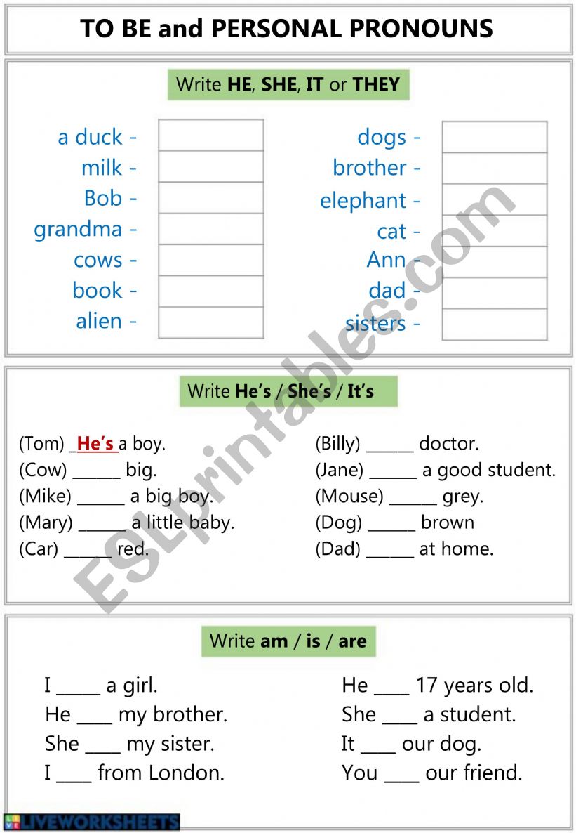 VERB TO BE worksheet