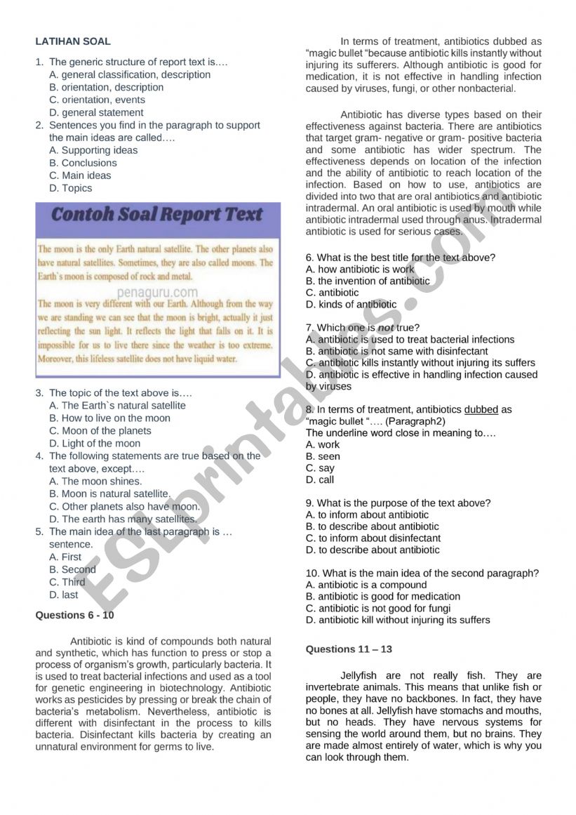 report text worksheet