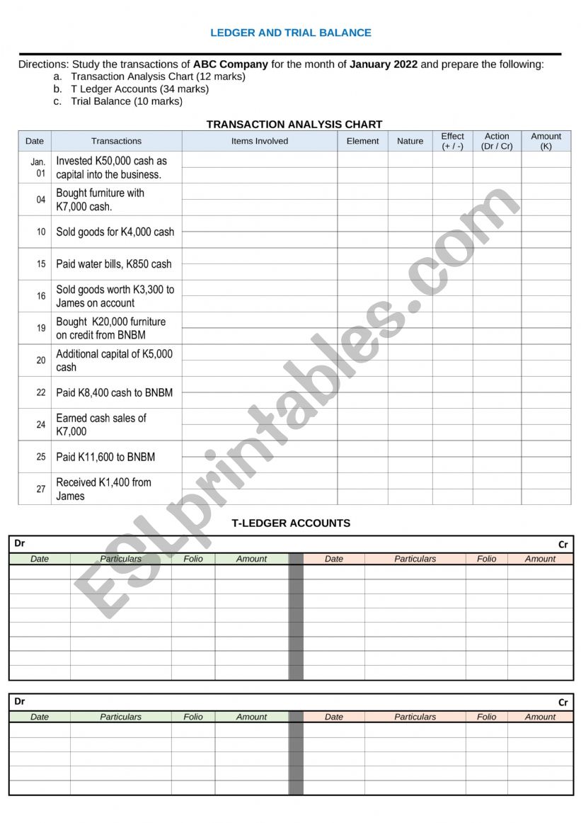 Ledger and Trial Balance worksheet