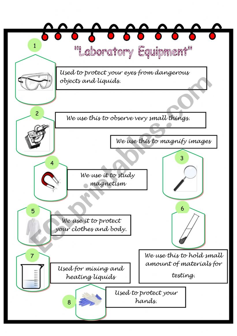 Lab Equipment worksheet